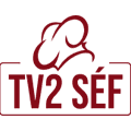 TV2 Séf