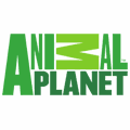 Animal Planet HD